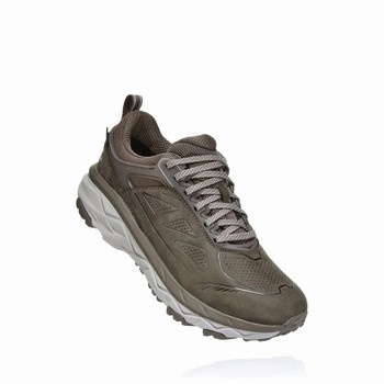 Hoka One One CHALLENGER LOW GORE-TEX Women's Lifestyle Shoes Grey | US-47205