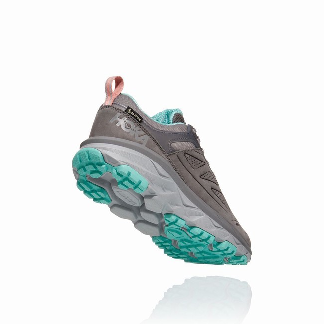 Hoka One One CHALLENGER LOW GORE-TEX Women's Lifestyle Shoes Grey | US-89799